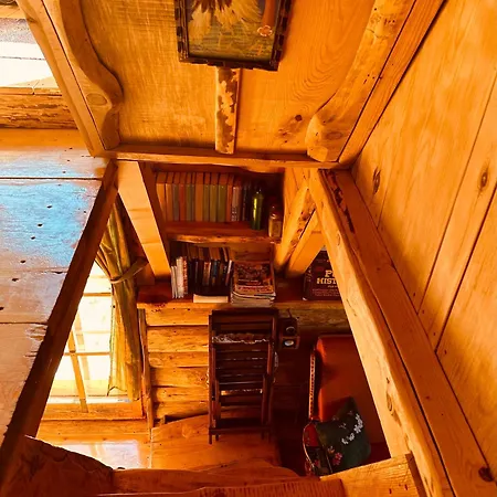 Mountain Story Apartment Zabljak  Exterior photo